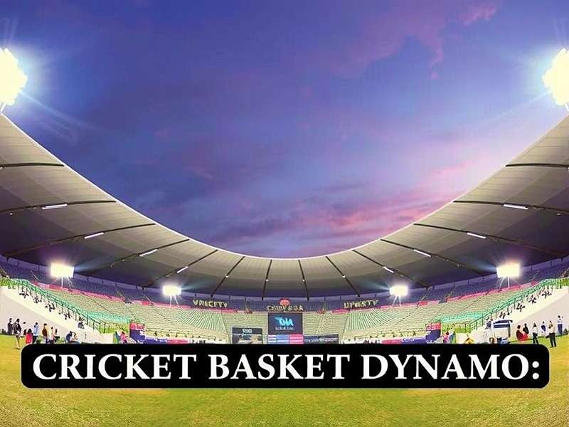Cricket Basket Dynamo - Gully Style Stadium Cricket Basket Dynamo Stadium with Indian Street Food Vendors